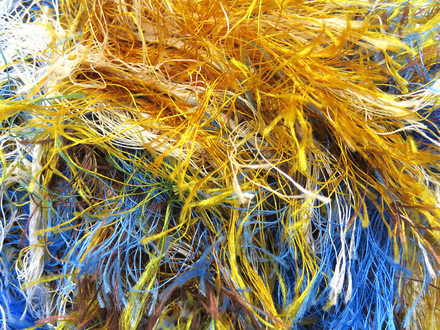 Uzun Kirpik Gökkuşağı