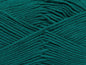 Lorena Worsted