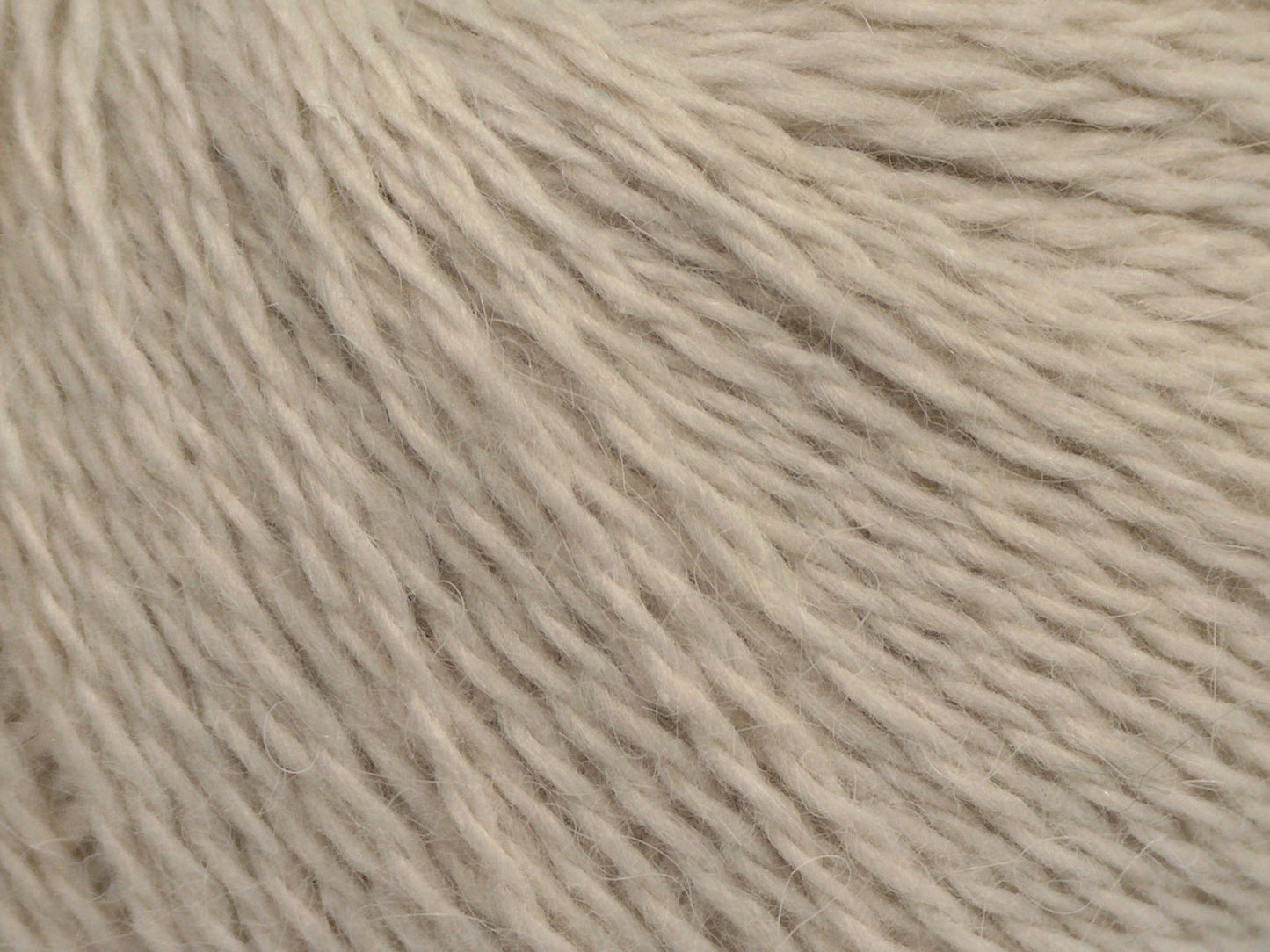 Angora Kaşmir