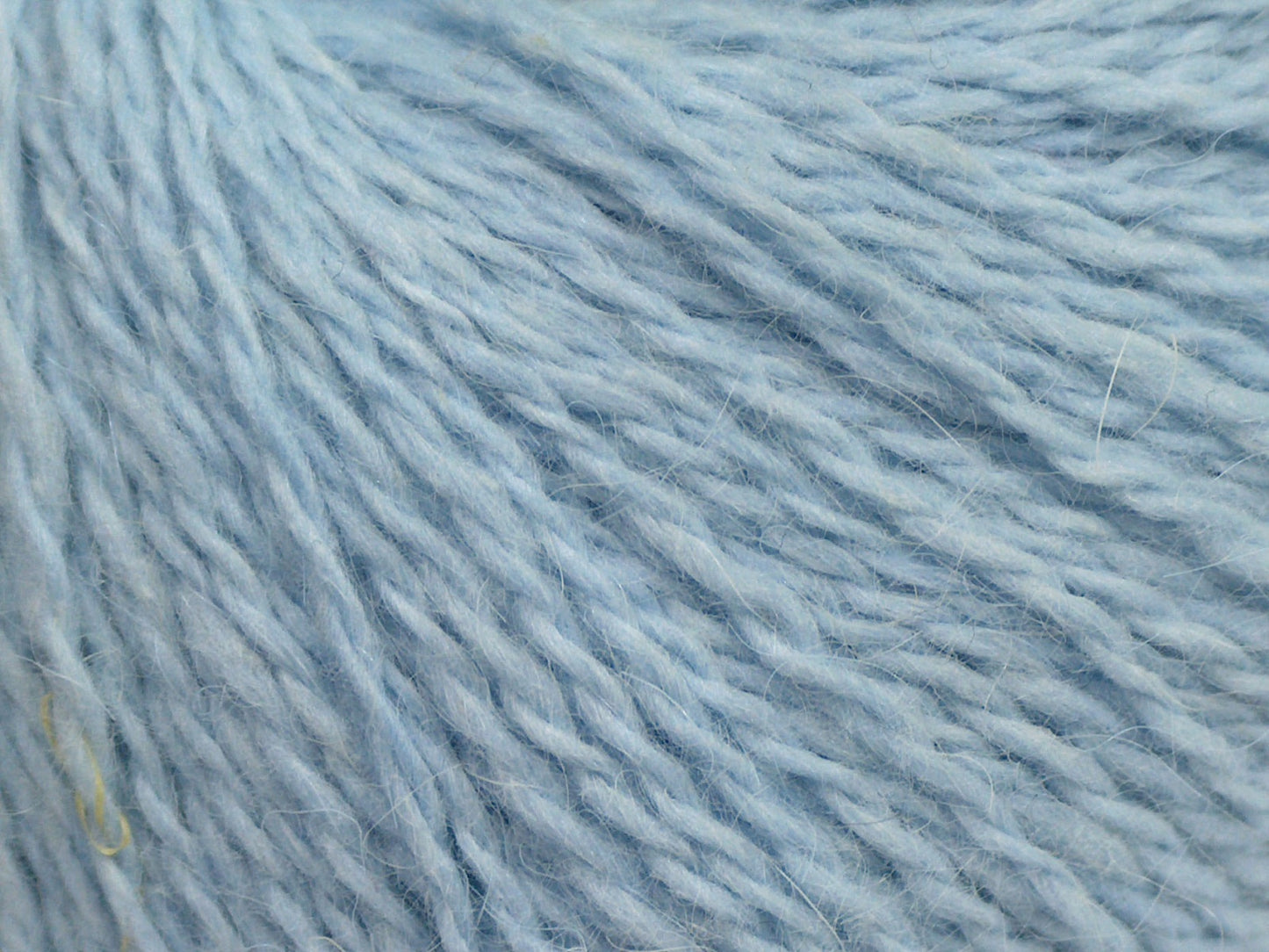 Angora Kaşmir