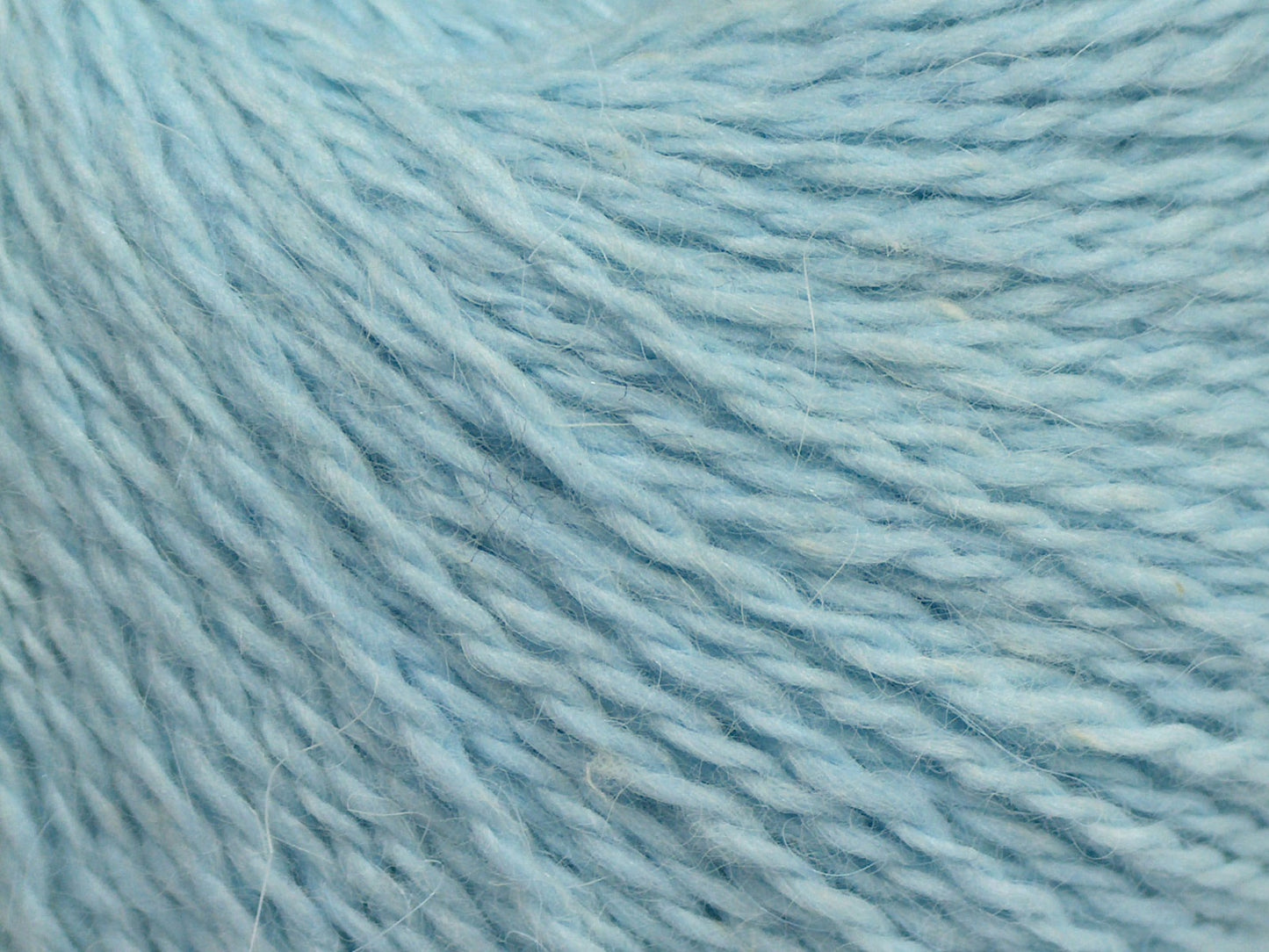 Angora Kaşmir