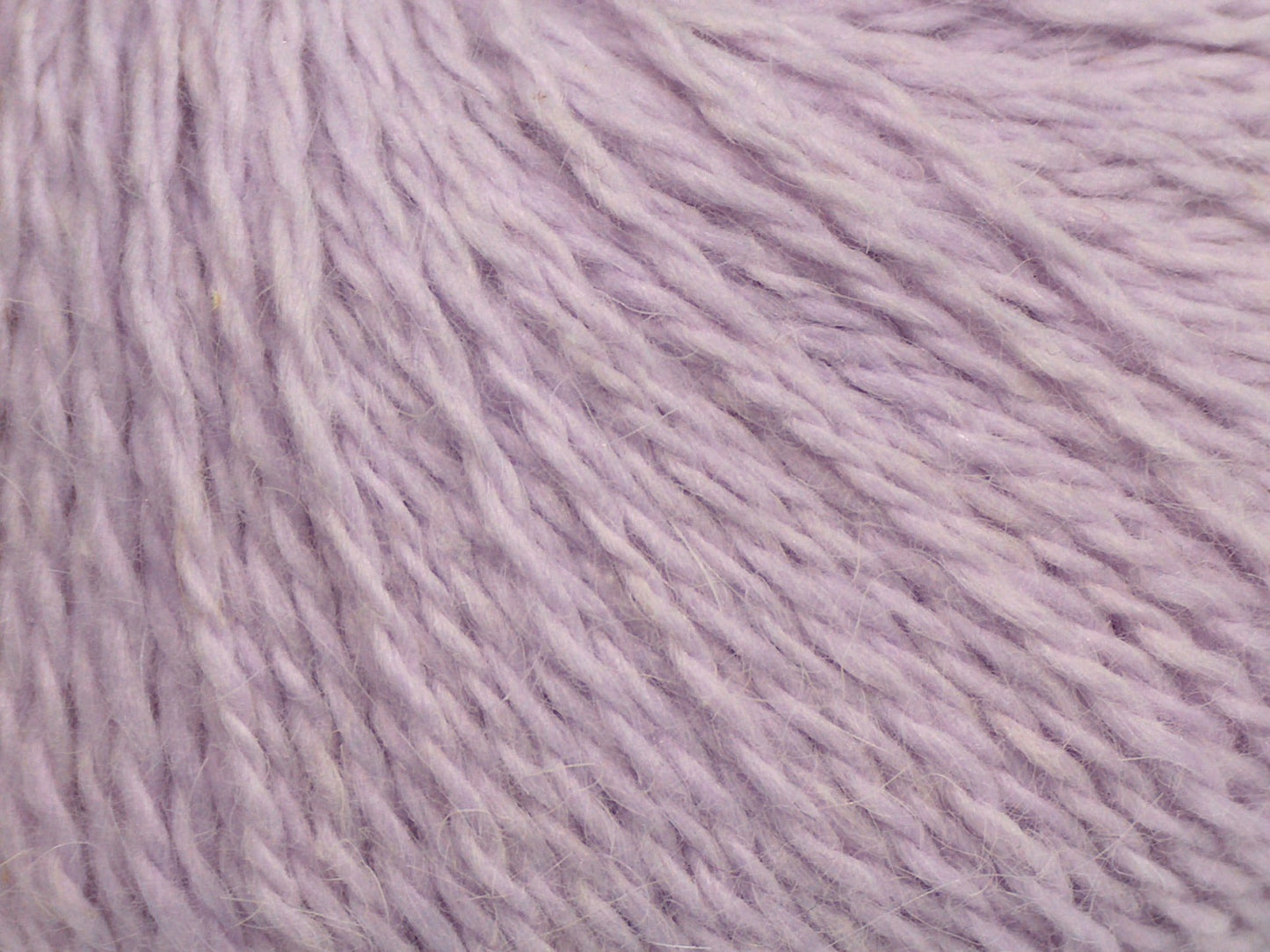 Angora Kaşmir