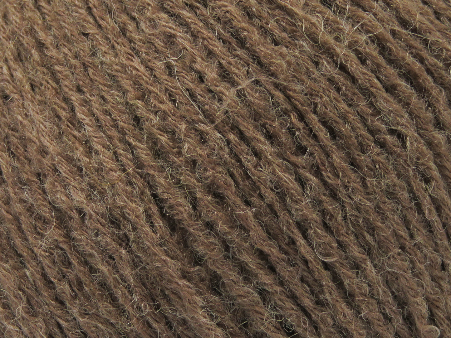 Bambino Merino