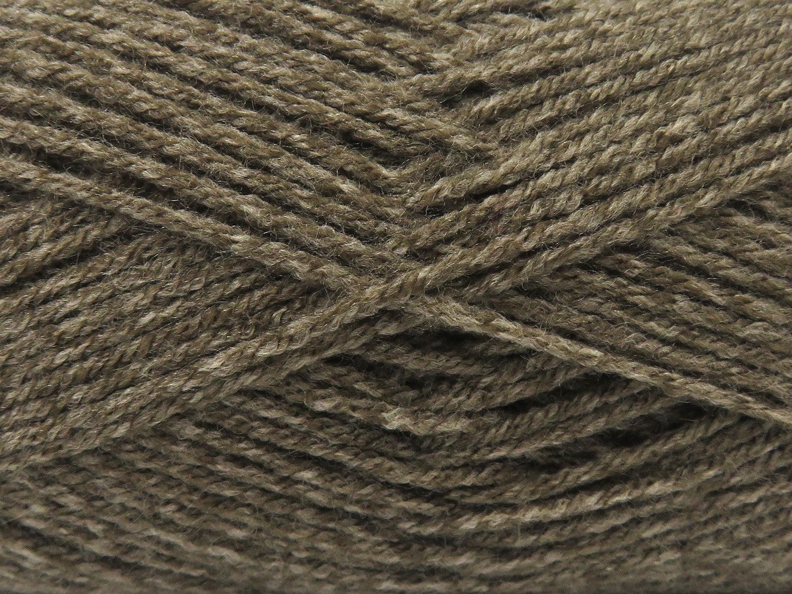 Always A Classic Camel fnt2-84121