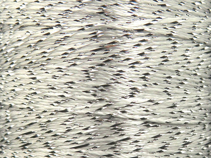 Camellia Spool White, Silver fnt2-84967